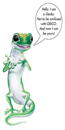 GEICO logo