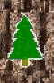 Bartram Forest Tree 